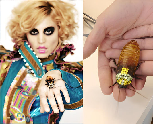 The Most Bizarre Jewellery Pieces Ever Made